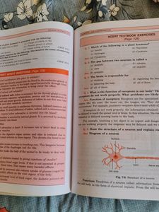 Class 10 - Golden Science Guide (With SamplePaper)