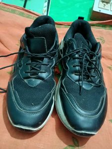 Casual Shoes