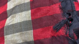 Striped Red &amp; Black Saree