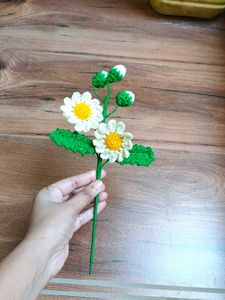 Crochet Daisy Flower