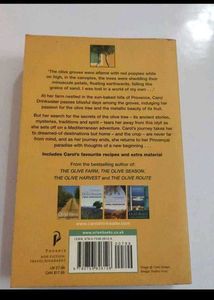 The Olive Tree Novel