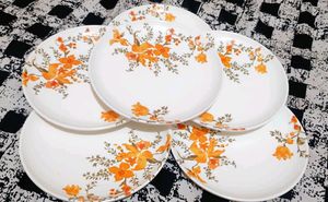 No Used New Plates।