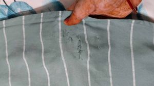 Striped Casual Shirt