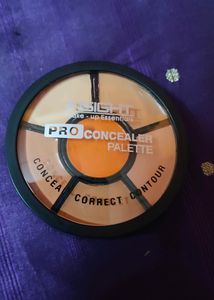 Insight Pro Concealer Palatte