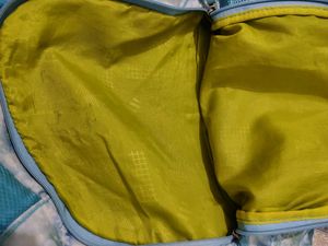 Frozen Backpack