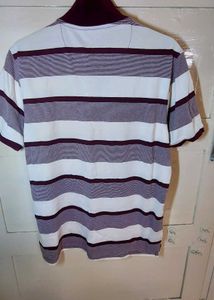 Polo T Shirt Men