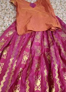 Traditional Kerala Skirt And Top