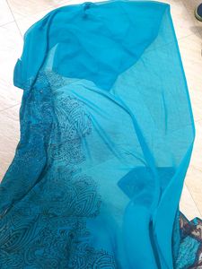 Sea Green Beautiful Saree With Border,Sequins Work