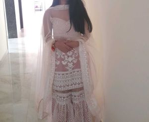 Elegant Pakistani Gharara Suit