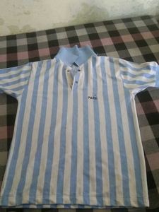 Zara Striped Polo T-Shirt