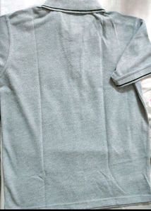 Branded Tshirt For Men