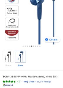 Sony Blue Headphones