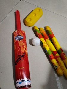 Cricket Set