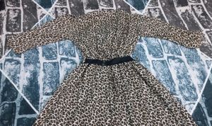 Leopard Print Mini Dress