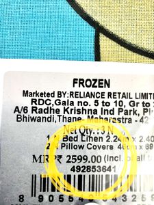 FROZEN Disney Double Bed Sheet