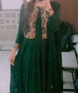 Elegant Green Ethnic Dress