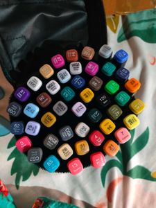 NEEWINS48 Colours Alcohol Brush Markers Double Tip