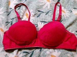 Pink Bra