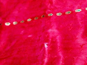 Pure Banarasi Silk Saree 2