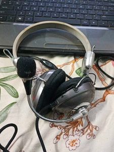 Headphones Working Mic Is Not Workin