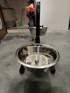 Elevated Double Pet Bowl