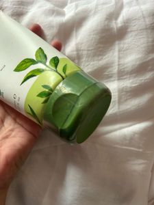 Plum Green Tea Face Wash