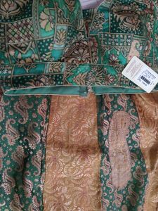 Embroidered Green and gold lehenga choli