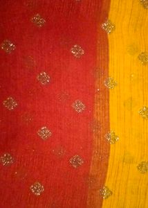 Elegant Red Saree