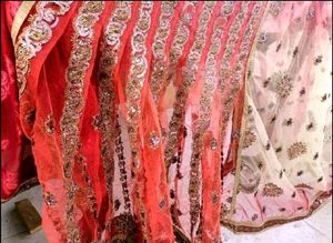 Beautiful Saree
