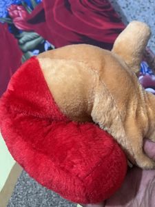 Teddy
