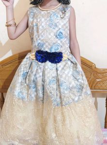 Glittering Dress