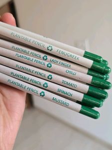 Plantable Seed Pencils | Set of 20