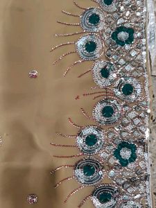 Elegant Embellished Saree