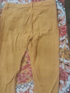 Mustard Casual Pants