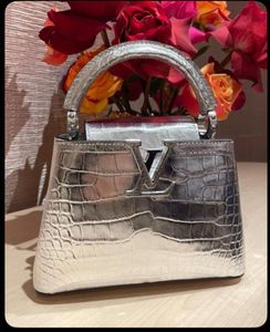 Never Seen Before- LV BAG