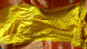 Beautiful Yellow Saree Red Border Silk
