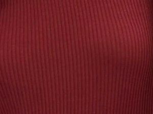 Maroon Crop Top