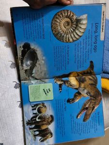 our world 🌎 🌍 Book 📖