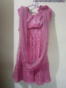 Neted Pink Lehenga Choli Set