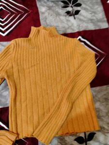 Winter High Neck Top