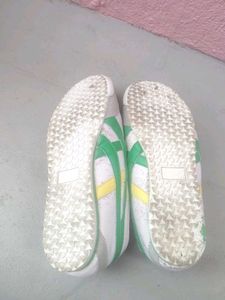 shoe
