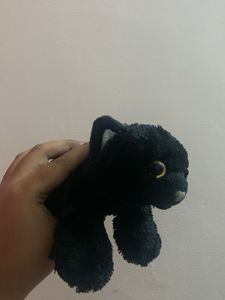 Black Cat Plush Toy
