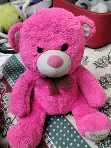 Pink Teddy Bear