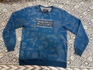Fearless Future Blue Sweatshirt