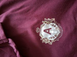 Maroon Polo Party T-Shirt for boys