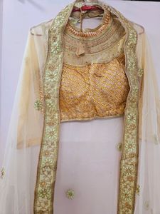 Pista Color Lehnga Choli