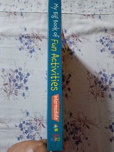 My Big Book Of Fun Activities