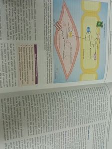 KD TRIPATHI PHARMACOLOGY BOOK