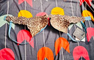 Imported Padded Push Up Bra