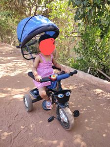 Tricycle Self Pickup Only